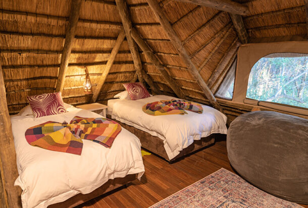 Jacis-Safari-Suite-6-1 Jacis-Safari-Suite-6-1