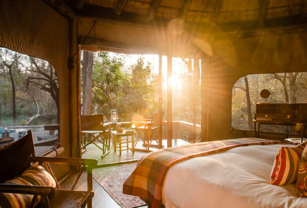 Jacis-Safari-Suite-8-1 Jacis-Safari-Suite-8-1