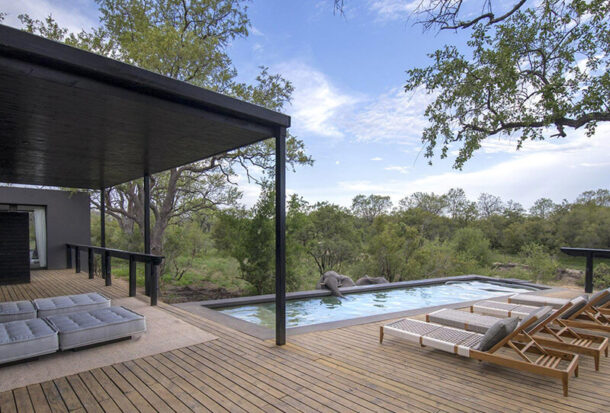 Leadwood-Suite-6 Leadwood-Suite-6