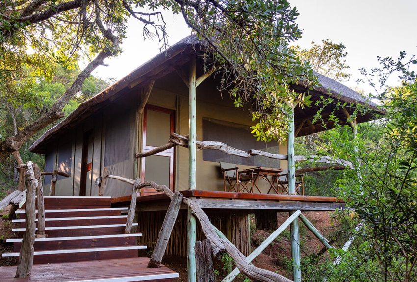 Luxury-Safari-Tents-8-1 Luxury-Safari-Tents-8-1