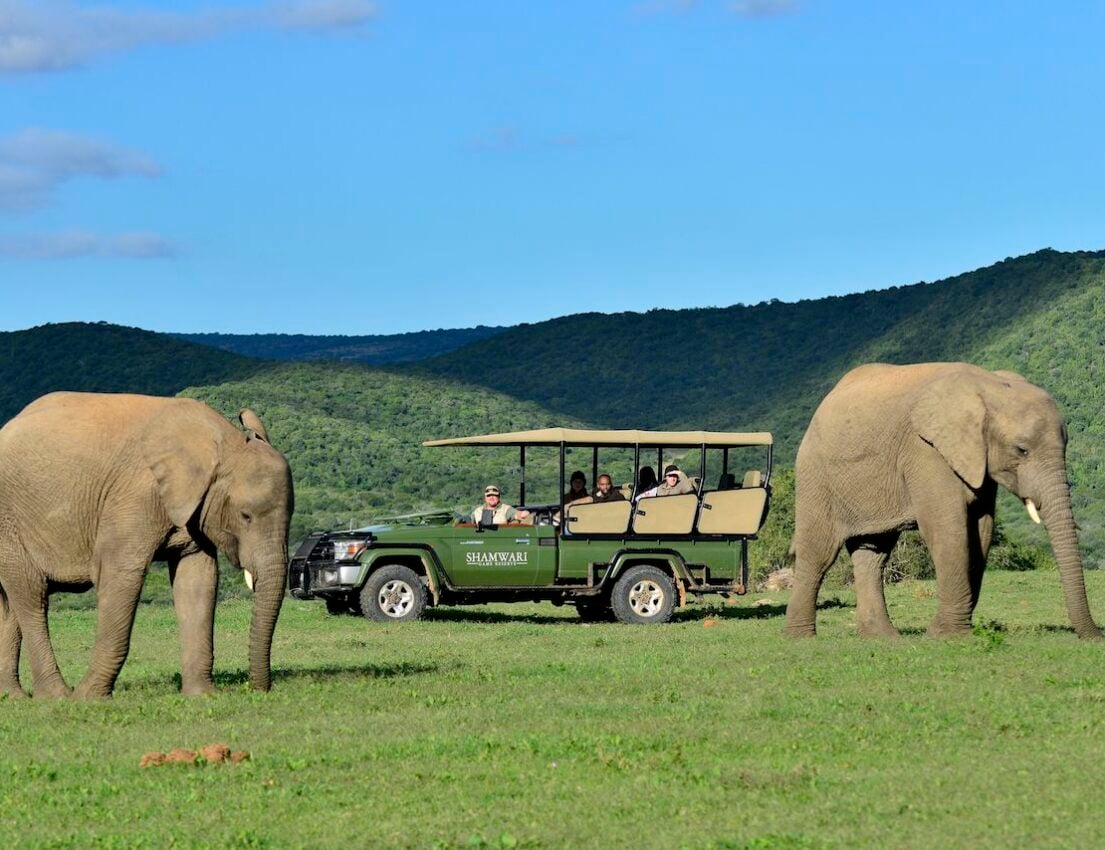 Shamwari Game Reserve Guest Experience