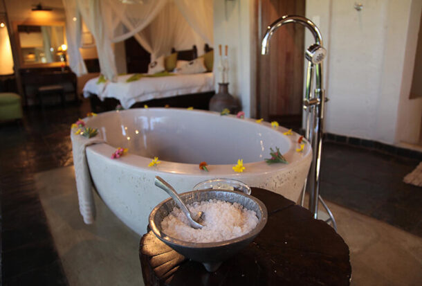 Tau-family-suite-1 Tau-family-suite-1