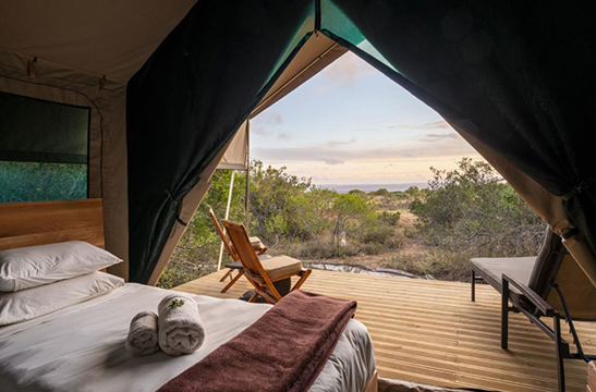 ex_guest_tent_2-1024x683-1