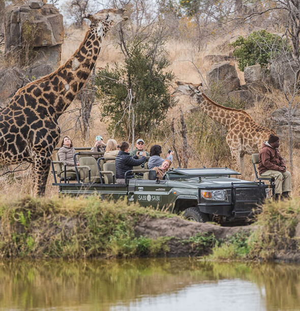 Sabi Sabi Bush Lodge, Cape Town & Winelands