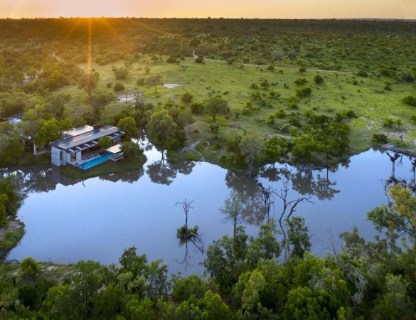 Cheetah-Plains-banner Cheetah-Plains-banner