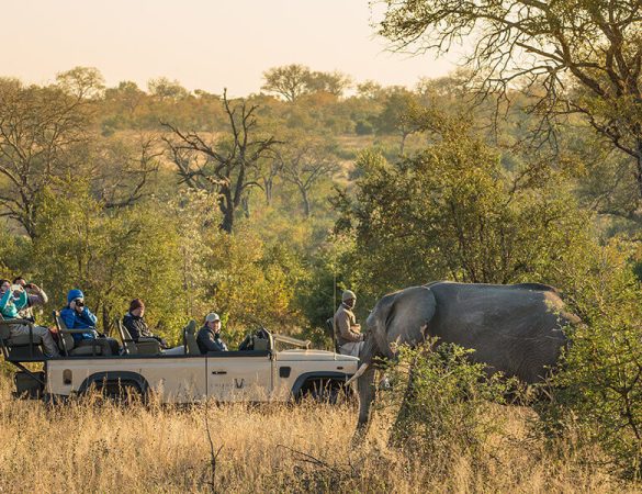 Chitwa-Chitwa-Itinerary-6 Chitwa-Chitwa-Itinerary-6