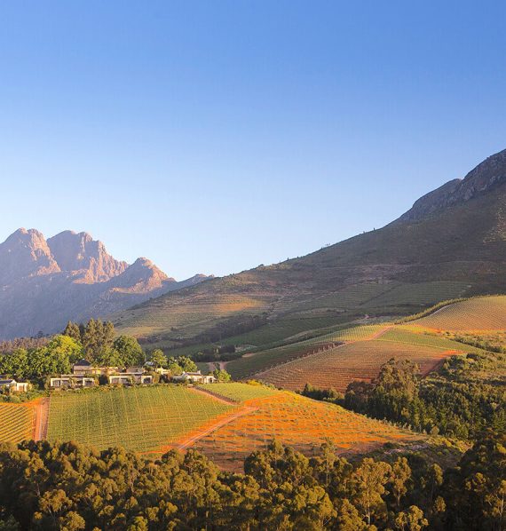 Delaire-Graff-Estate-2 Delaire-Graff-Estate-2