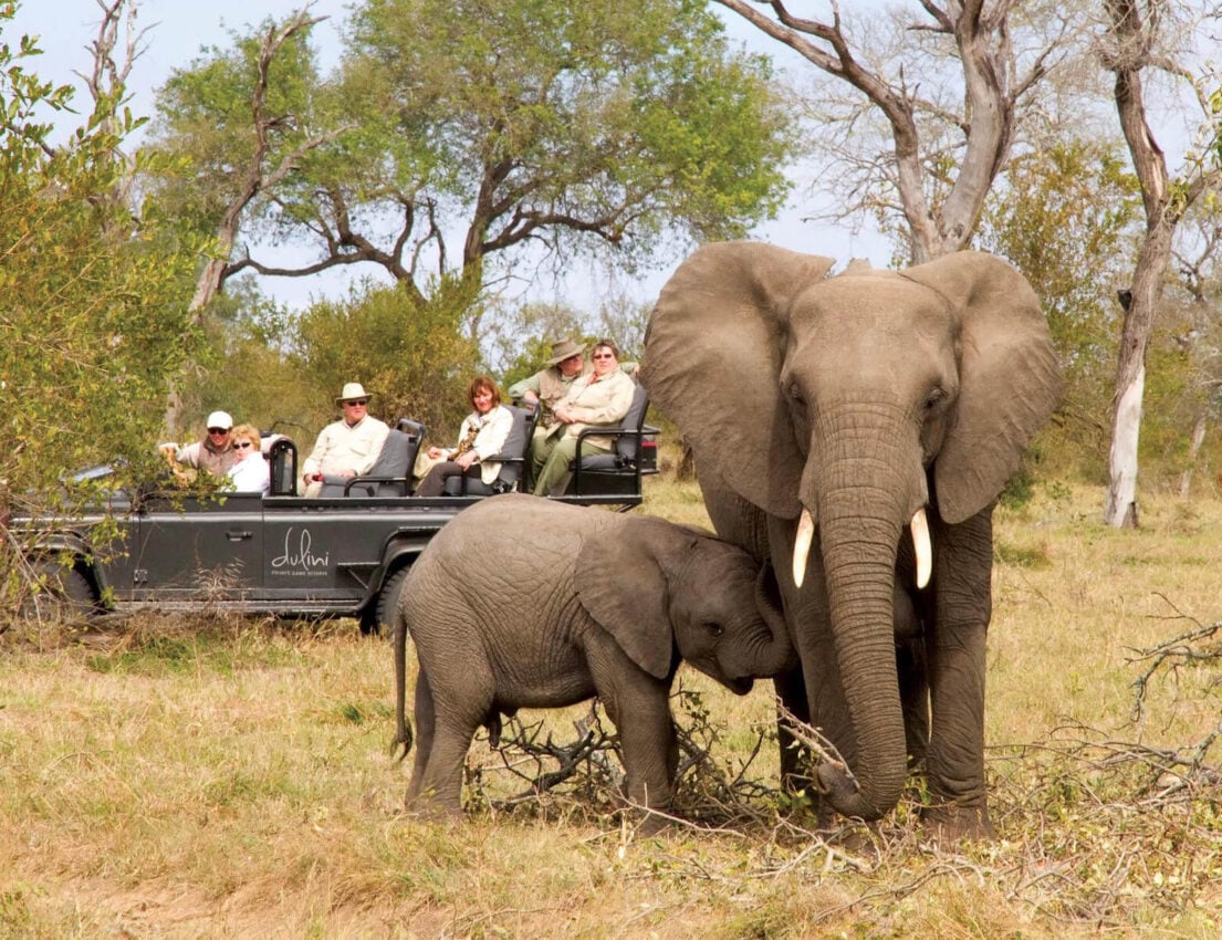 Dulini-Game-Reserve Dulini-Game-Reserve