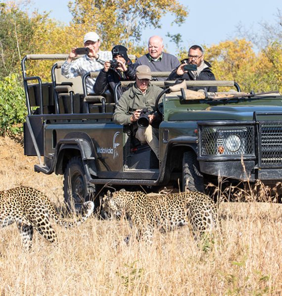 Feature-images-MalaMala-Sable-Camp-1-1 Feature-images-MalaMala-Sable-Camp-1-1