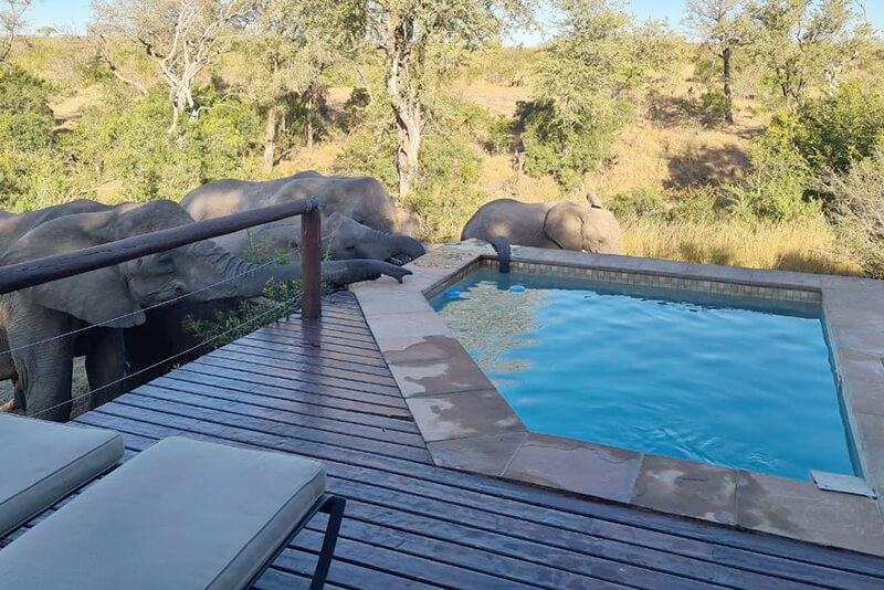 Idube-Luxury-suite-1