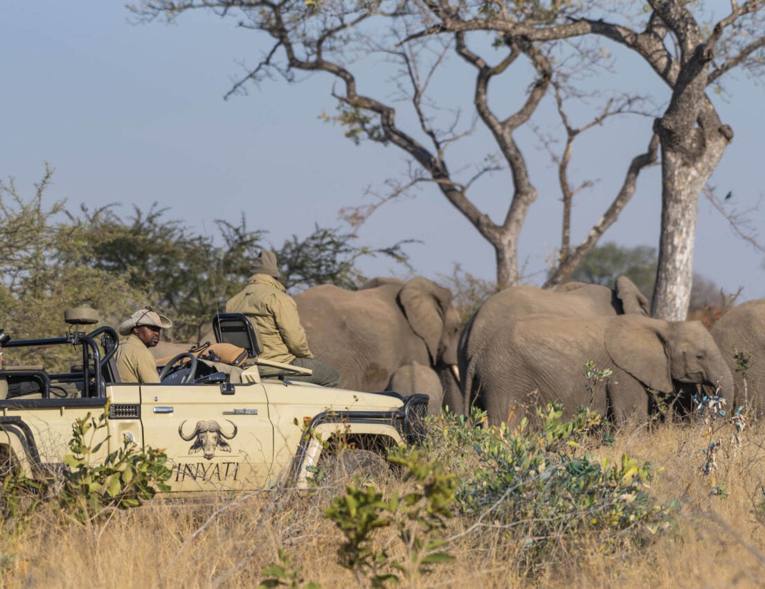 Inyati-Game-Reserve Inyati-Game-Reserve