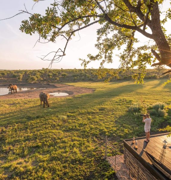 Jamala-Madikwe-1 Jamala-Madikwe-1