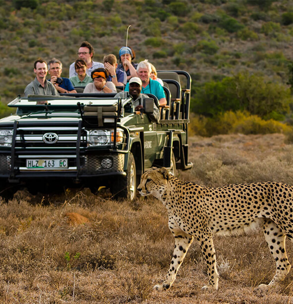 Kwandwe Ecca Lodge, Cape Town & Winelands