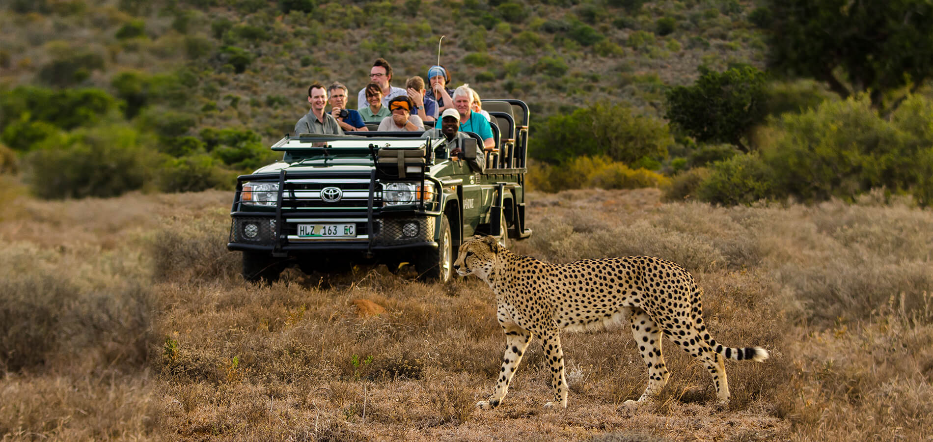 Game Drives