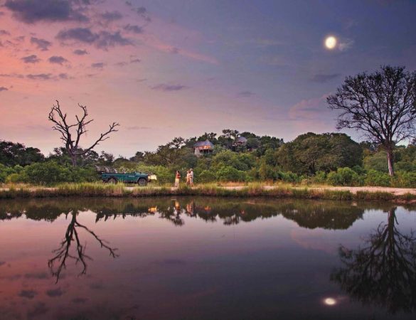 Leopard-hills-banner Leopard-hills-banner