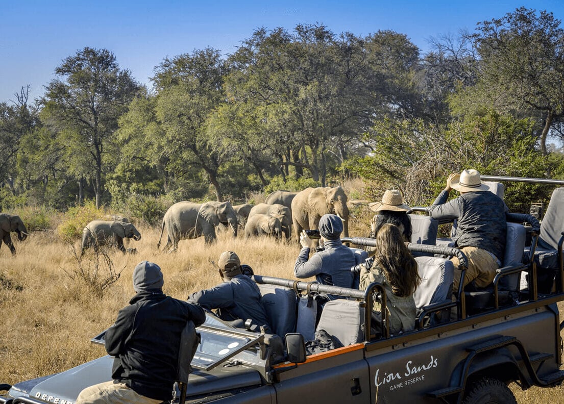 Lion-Sands-Banner Lion-Sands-Banner