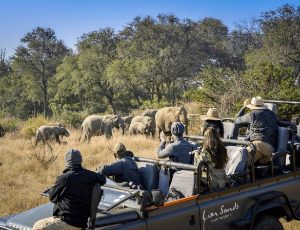 Lion-Sands-Banner Lion-Sands-Banner