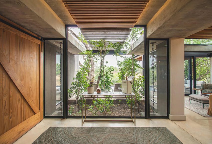 Lion Sands Ivory Lodge 1-bed villa 5 Lion Sands Ivory Lodge 1-bed villa 5