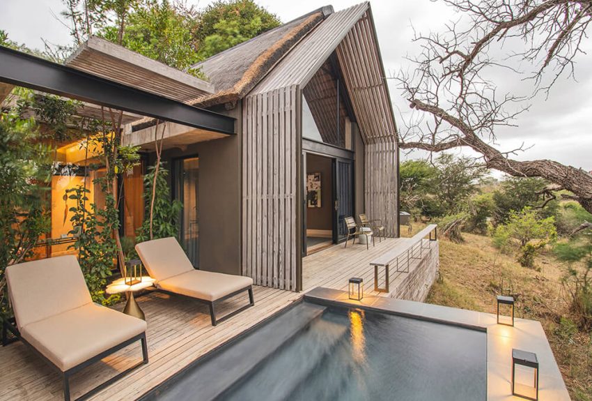 Lion Sands Ivory Lodge 1-bed villa 6 Lion Sands Ivory Lodge 1-bed villa 6