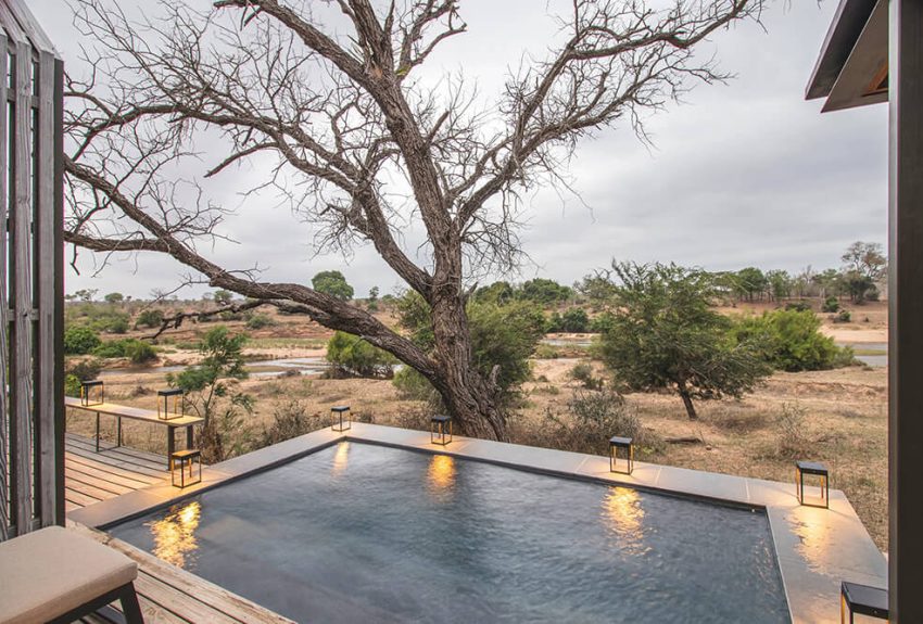 Lion Sands Ivory Lodge 1-bed villa 8 Lion Sands Ivory Lodge 1-bed villa 8