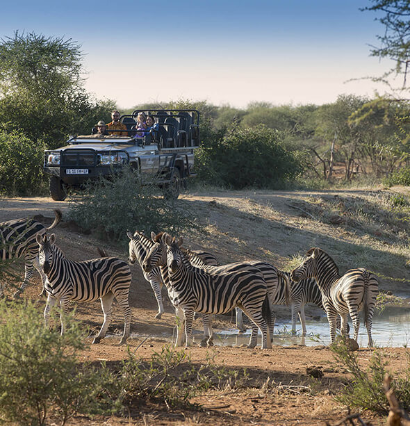 Madikwe Lelapa Lodge & Cape Town