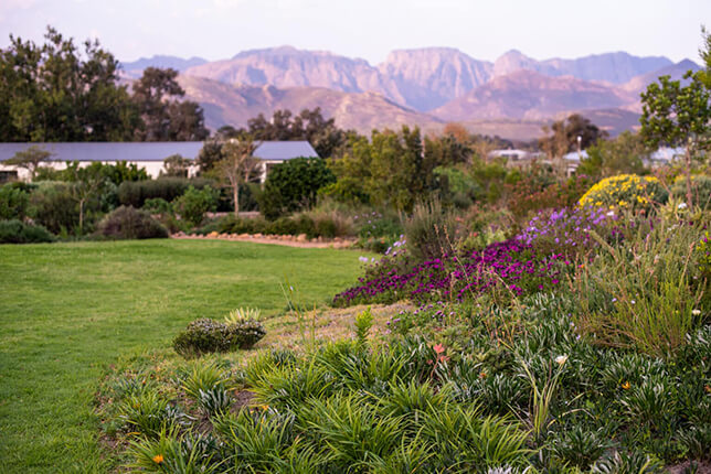 Retreat-cottages-2-1