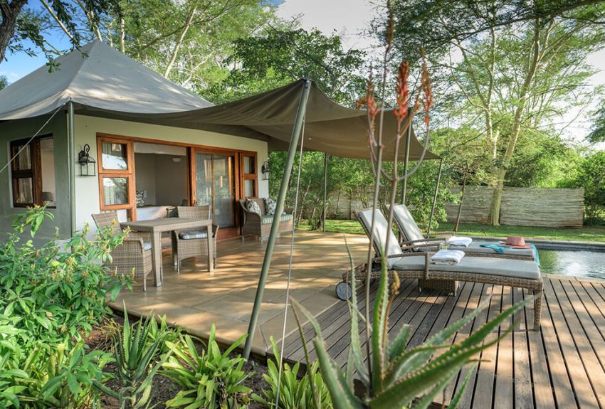 Savanna Luxury Suite 3 Savanna Luxury Suite 3