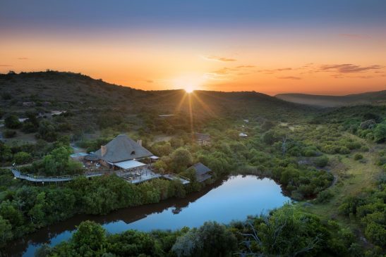 Shamwari Bayethe Shamwari Bayethe