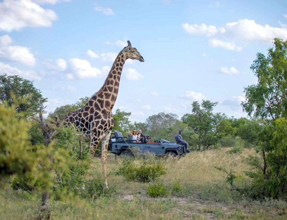 Silvan-Game-Reserve Silvan-Game-Reserve