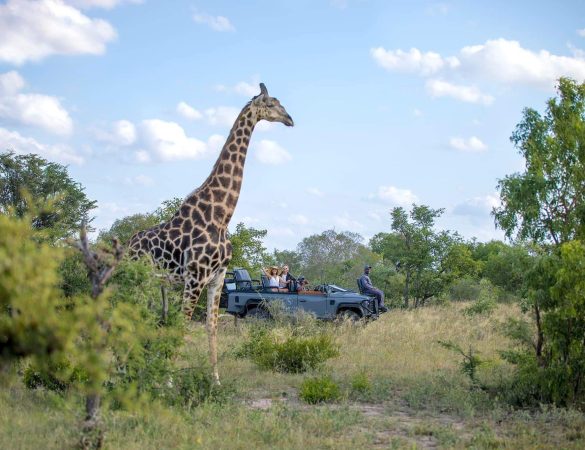 Silvan-Game-Reserve Silvan-Game-Reserve