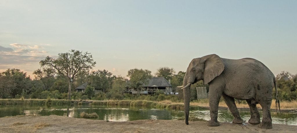 Simbambili Game Lodge