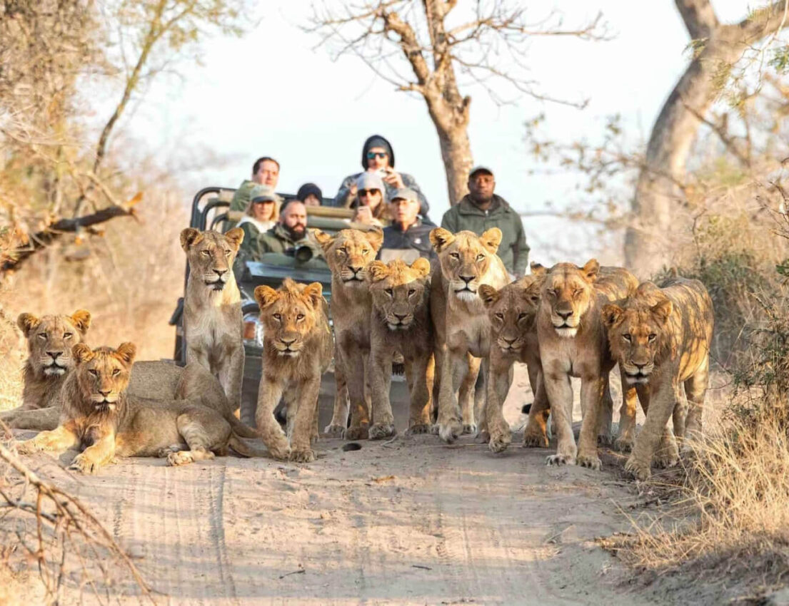 South-Africa-Safari-holiday-sm