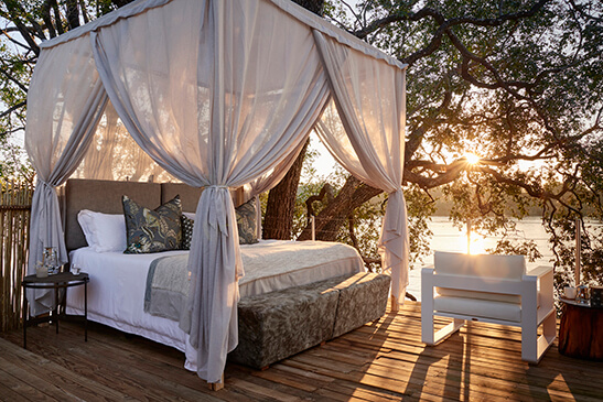 Starbed-treehouse-suite-3