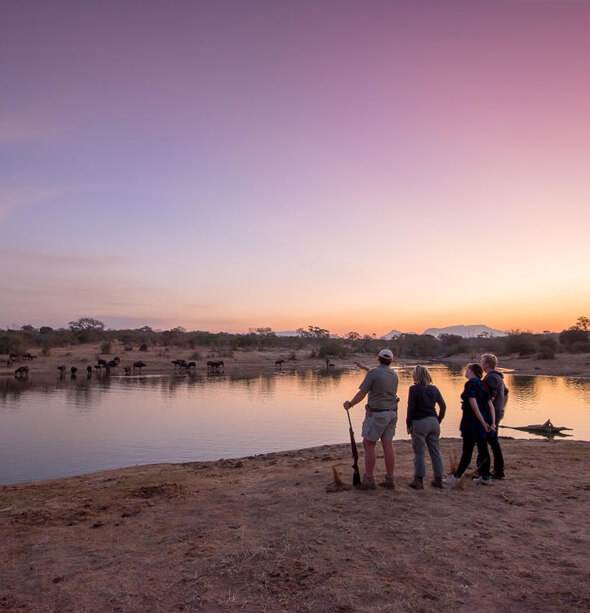 Saseka Tented Camp, Cape Town & Winelands