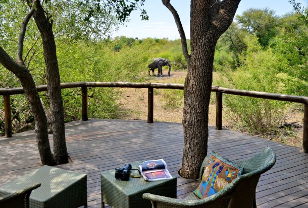 Luxury Bush Villa 4 Luxury Bush Villa 4