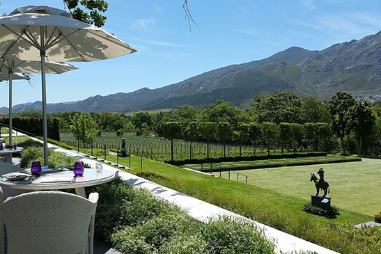 Vineyards starting to color during the start of autumn in the Constantia valley near Cape Town, South Africa