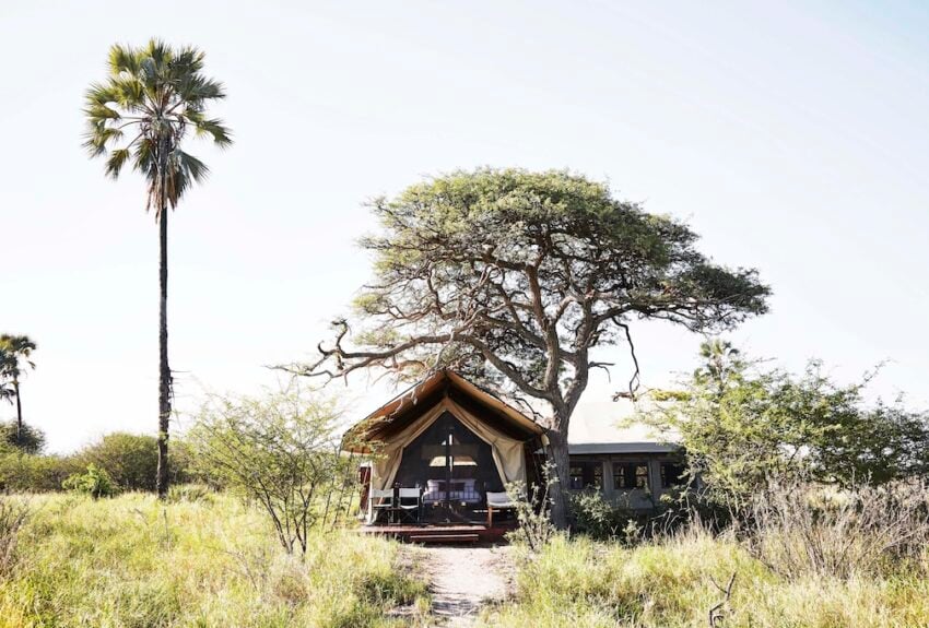 Camp Kalahari Tent 2 Camp Kalahari Tent 2