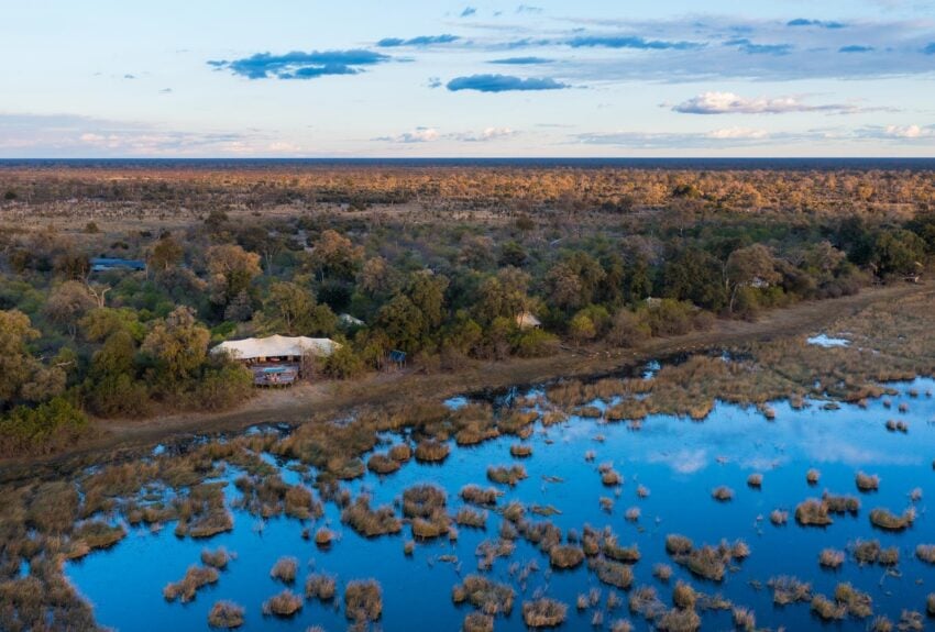 The Zarafa Dhow Suite is undoubtedly one of our most beautiful Great Plains Conservation Réserve Collection safari camps in Botswana. Zarafa means “the beloved one” or “the lovely one” in Arabic. The name comes from a giraffe presented to Charles X of France in 1826 by the Viceroy of Egypt. The giraffe was transported from Africa to France in a traditional Dhow.
