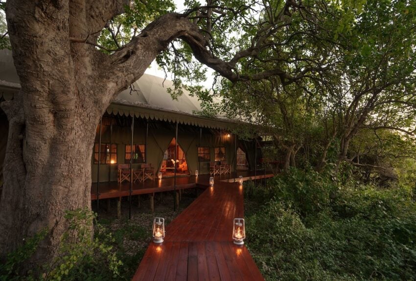 Dukes East Family Tent 1