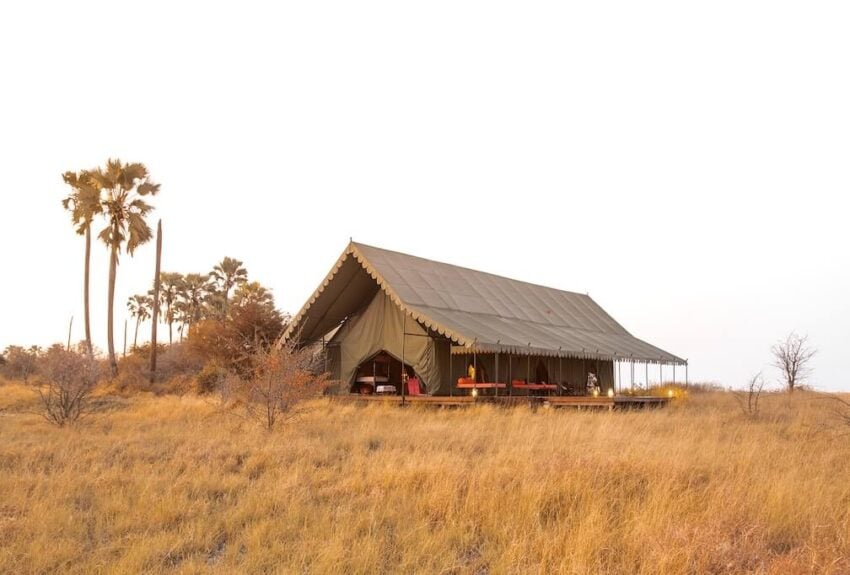 Jacks Camp Luxury Suite 2