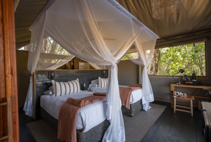 Little Sable Family Tent 3