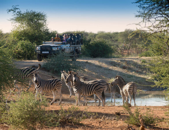 Madikwe Game Reserve Madikwe Game Reserve