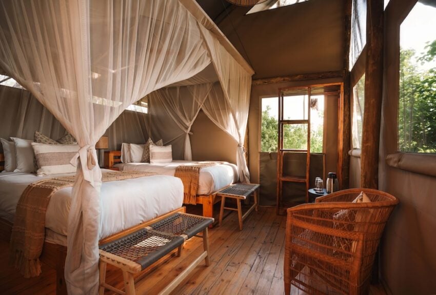 Mokolwane Family Tent 3