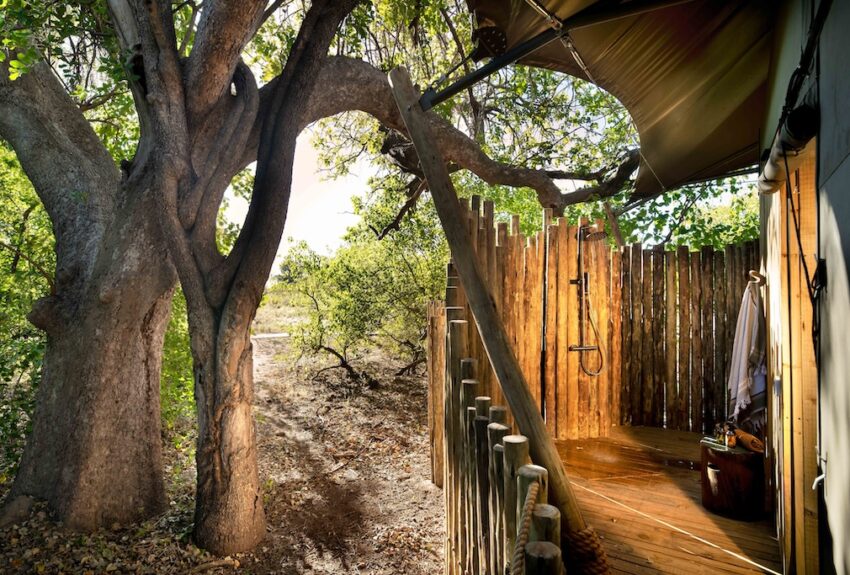 North Island Luxury Tent 3