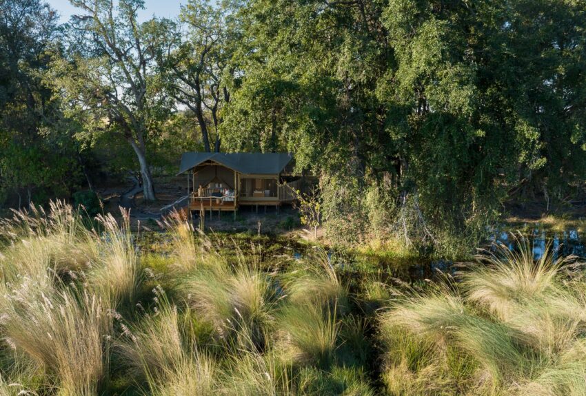 Shinde Footsteps Tent 7