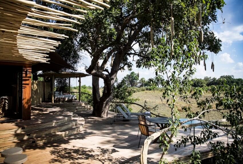 Wilderness, Little Mombo, Botswana. Wilderness, Little Mombo, Botswana.