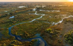 Flooded waterways of the Okavango Delta
