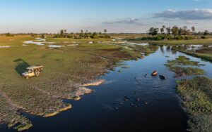 Okavango Delta private concession